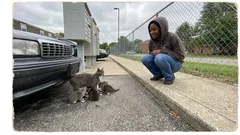 Story: The stray cat behind our mailboxes kept watching me. Then I learned why