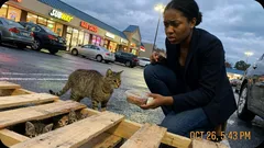 Story: I only went out for coffee, then I noticed what was hiding nearby