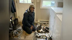 Story: A skittish calico kept appearing on my porch. Then one rainy afternoon, everything changed