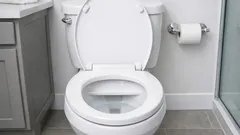 Why some toilets have a shelf inside the bowl